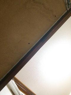 (untitled)