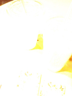(untitled)