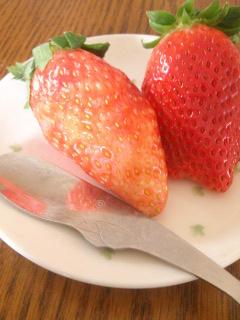 (untitled)