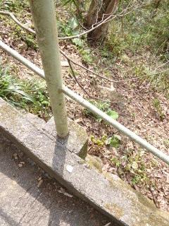 (untitled)