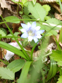 (untitled)