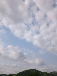 (untitled)