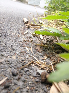 (untitled)