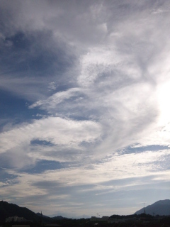 (untitled)