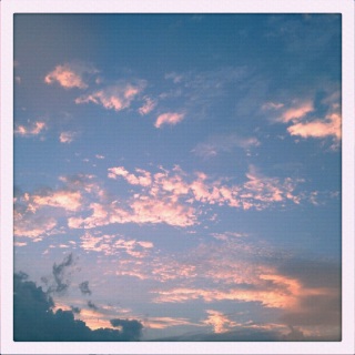 (untitled)