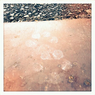 (untitled)