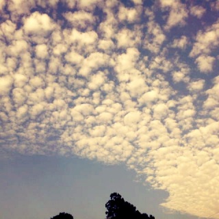 (untitled)