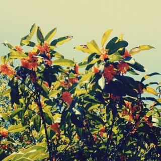 (untitled)