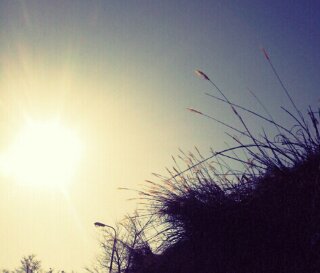 (untitled)