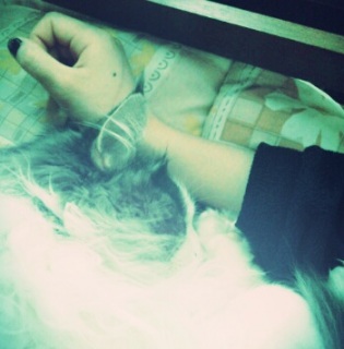(untitled)