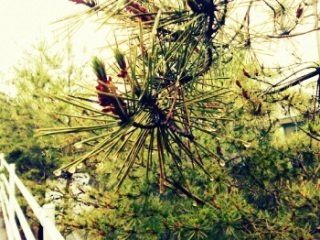 (untitled)