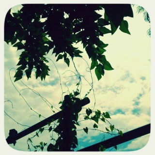 (untitled)