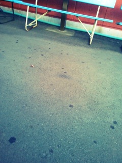 (untitled)